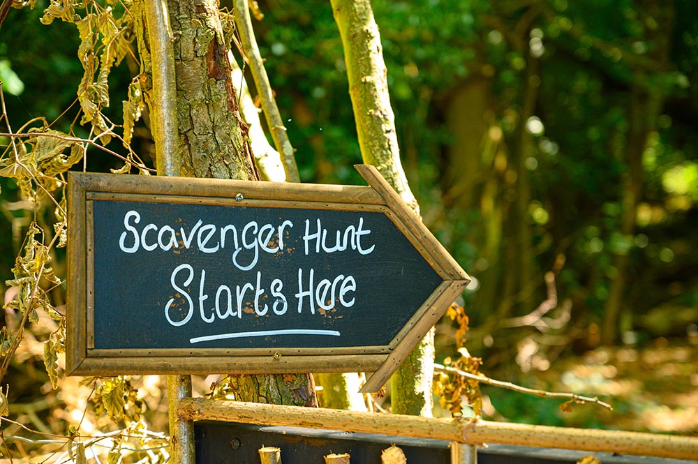 Scavenger,Hunt,This,Way,Signpost,In,Lush,